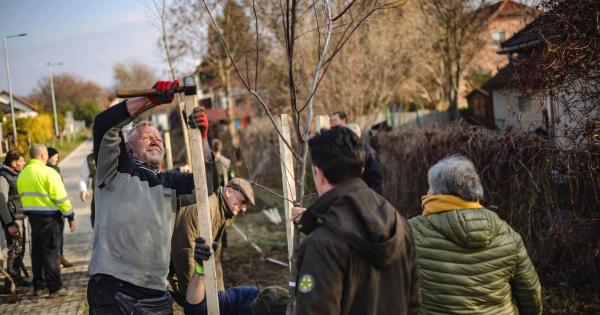 Tíz ezer fát ültetnének a Magyarországon található, tízezer főnél kisebb lakosságú településeken.