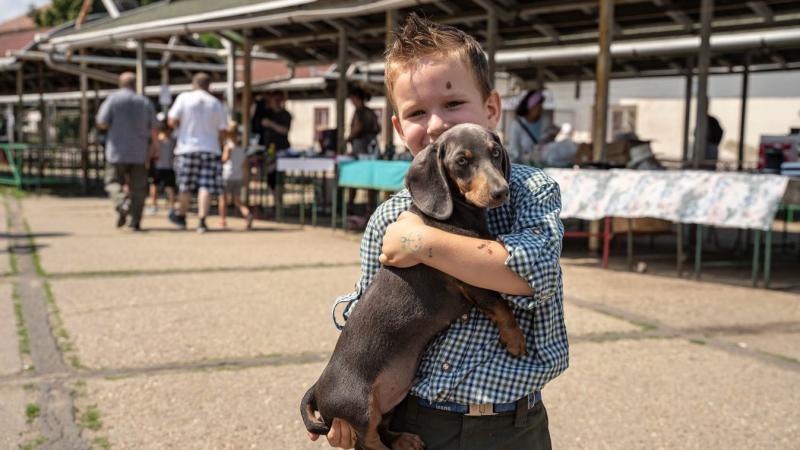Az állatok érző lények, akiknek joguk van a tiszteletteljes és gondoskodó bánásmódhoz.