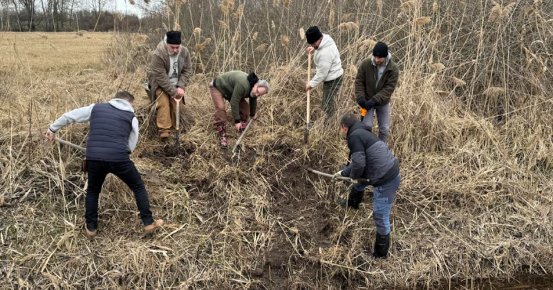 Öt doktor izgalmas kalandba fogott a Homokhátság homokos dűnéin, ahol lapátokkal felfegyverkezve indultak útnak.